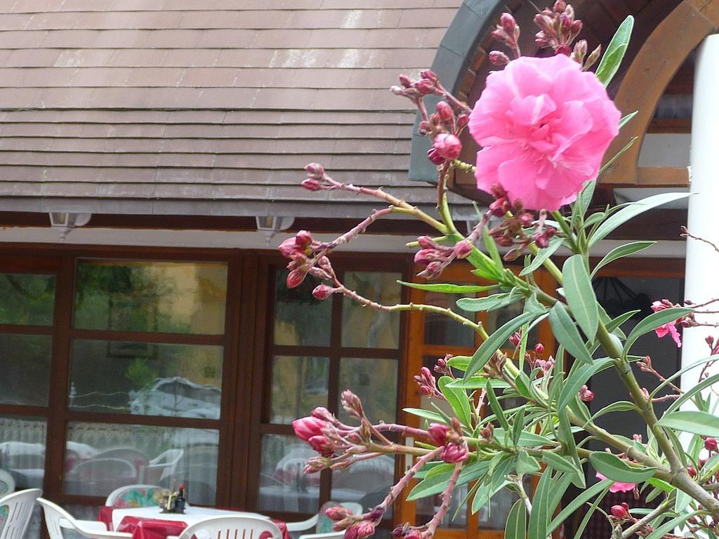 Oleander B&B Шиофок Экстерьер фото