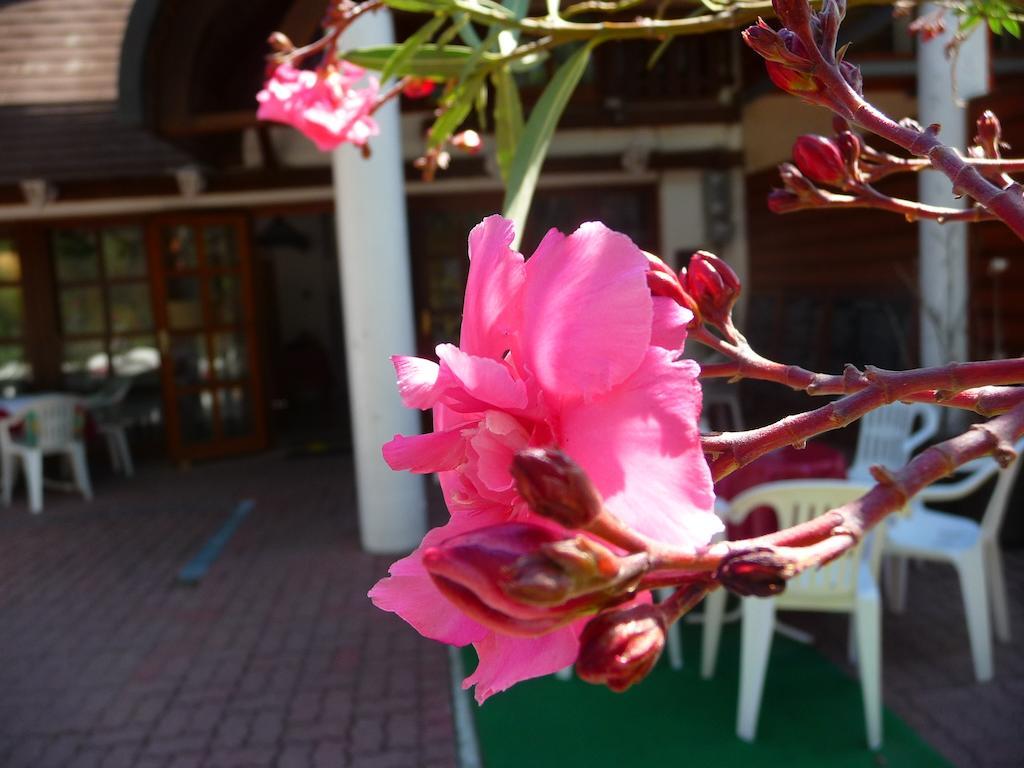 Oleander B&B Шиофок Экстерьер фото